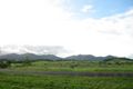 Property photo of 247 Donkin Road Utchee Creek QLD 4871