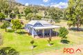 Property photo of 303 Ogunbil Road Dungowan NSW 2340