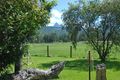 Property photo of 412-436 Tyalgum Road Eungella NSW 2484