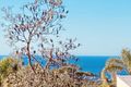 Property photo of 9/15 Birriga Road Bellevue Hill NSW 2023