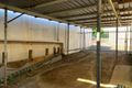 Property photo of 45 Manning Street Taree NSW 2430