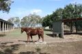 Property photo of 14 Querin Road Biboohra QLD 4880