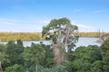 Property photo of 9 Clifford Crescent Banora Point NSW 2486