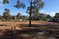 Property photo of 50 Boyce Street Avoca VIC 3467