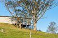 Property photo of 56 Eurobodalla Road Bodalla NSW 2545