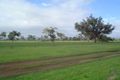 Property photo of 12 Ixora Place Pinjarra WA 6208