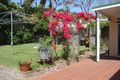 Property photo of 28 William Street Fairlight NSW 2094