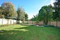 Property photo of 11 Centre Street Penshurst NSW 2222
