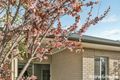 Property photo of 86 Nelson Avenue Flinders Park SA 5025
