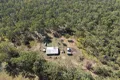 Property photo of 824 Ferry Road Rosedale QLD 4674