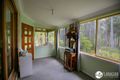Property photo of 59 Sheppard Road Collombatti NSW 2440