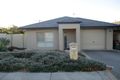 Property photo of 12 Cowra Avenue Gilles Plains SA 5086