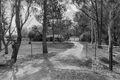 Property photo of 15 Barrie Close Williamtown NSW 2318