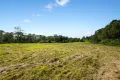 Property photo of 2074 Mount Glorious Road Mount Glorious QLD 4520