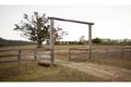 Property photo of 628 Shadbolt Road Cedar Pocket QLD 4570