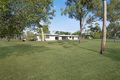Property photo of 13 Arabian Place Black River QLD 4818