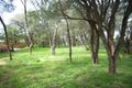 Property photo of 57 Valley Drive Rye VIC 3941