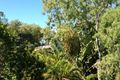 Property photo of 12/5-7 Amphora Street Palm Cove QLD 4879