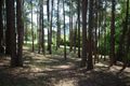 Property photo of 69 Summit Road Pomona QLD 4568