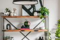 Property photo of 58A Gadd Street Northcote VIC 3070