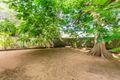 Property photo of 12 Julie Court Emerald QLD 4720