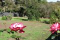 Property photo of 17 Carmichael Street Hamilton VIC 3300