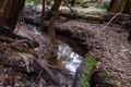 Property photo of 107 Bassetts Road Calder TAS 7325