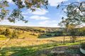 Property photo of 91 Noack Road Lyndoch SA 5351