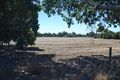 Property photo of 256 Padbury Avenue Herne Hill WA 6056
