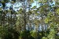 Property photo of 12 Payne Road Denmark WA 6333