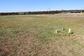 Property photo of 90 Stonecutters Drive Colebee NSW 2761