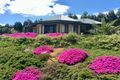 Property photo of 77 Lakeview Crescent Bridgetown WA 6255