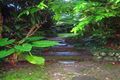 Property photo of 17 Lilli Pilli Drive Byron Bay NSW 2481