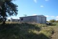 Property photo of 19 Lilian Avenue Ellesmere QLD 4610