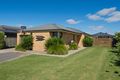 Property photo of 16 Stapleton Court Benalla VIC 3672