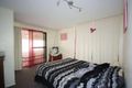 Property photo of 163 Laguna Avenue Palm Beach QLD 4221