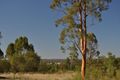 Property photo of 407 Kaputar Road Narrabri NSW 2390