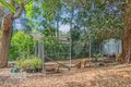 Property photo of 6 Kirrily Way Castle Hill NSW 2154