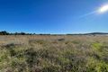 Property photo of 8186B The Escort Way Eugowra NSW 2806