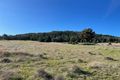 Property photo of 8186B The Escort Way Eugowra NSW 2806