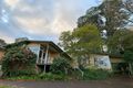 Property photo of 19 The Boulevard Heathmont VIC 3135
