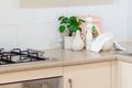 Property photo of 5 Stirling Road Strathalbyn SA 5255