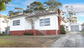 Property photo of 44 Eastern Avenue Panania NSW 2213