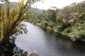 Property photo of 102 Lind Avenue Dargo VIC 3862