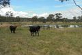 Property photo of Gillbard Road Dalcouth QLD 4380