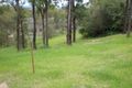 Property photo of 25 Oppermann Drive Ormeau QLD 4208