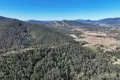 Property photo of 173 Knodingbul Forest Road Mount George NSW 2424