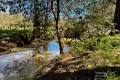 Property photo of 173 Knodingbul Forest Road Mount George NSW 2424
