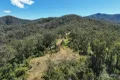 Property photo of 173 Knodingbul Forest Road Mount George NSW 2424