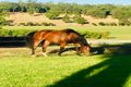 Property photo of 21 Suneca Road Martin WA 6110